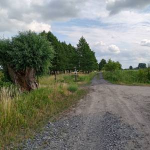 Ścieżka przyrodnicza "Na dwóch kółkach przez Polder Północny" - sciezka przyrodnicza na dwoch kolkach przez polder polnocny 19