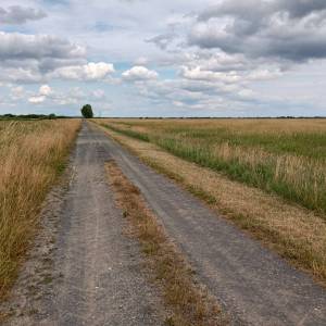 Ścieżka przyrodnicza "Na dwóch kółkach przez Polder Północny" - sciezka przyrodnicza na dwoch kolkach przez polder polnocny 20