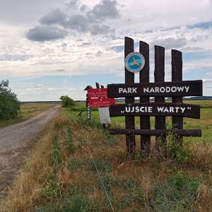 Ścieżka przyrodnicza "Na dwóch kółkach przez Polder Północny" - sciezka przyrodnicza na dwoch kolkach przez polder polnocny 25
