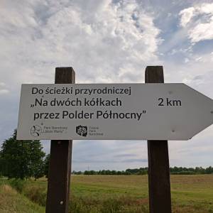 Ścieżka przyrodnicza "Na dwóch kółkach przez Polder Północny" - sciezka przyrodnicza na dwoch kolkach przez polder polnocny 28