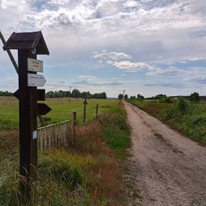 Ścieżka przyrodnicza "Na dwóch kółkach przez Polder Północny" - sciezka przyrodnicza na dwoch kolkach przez polder polnocny 29