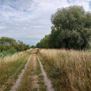 Ścieżka przyrodnicza "Na dwóch kółkach przez Polder Północny" - sciezka przyrodnicza na dwoch kolkach przez polder polnocny 7