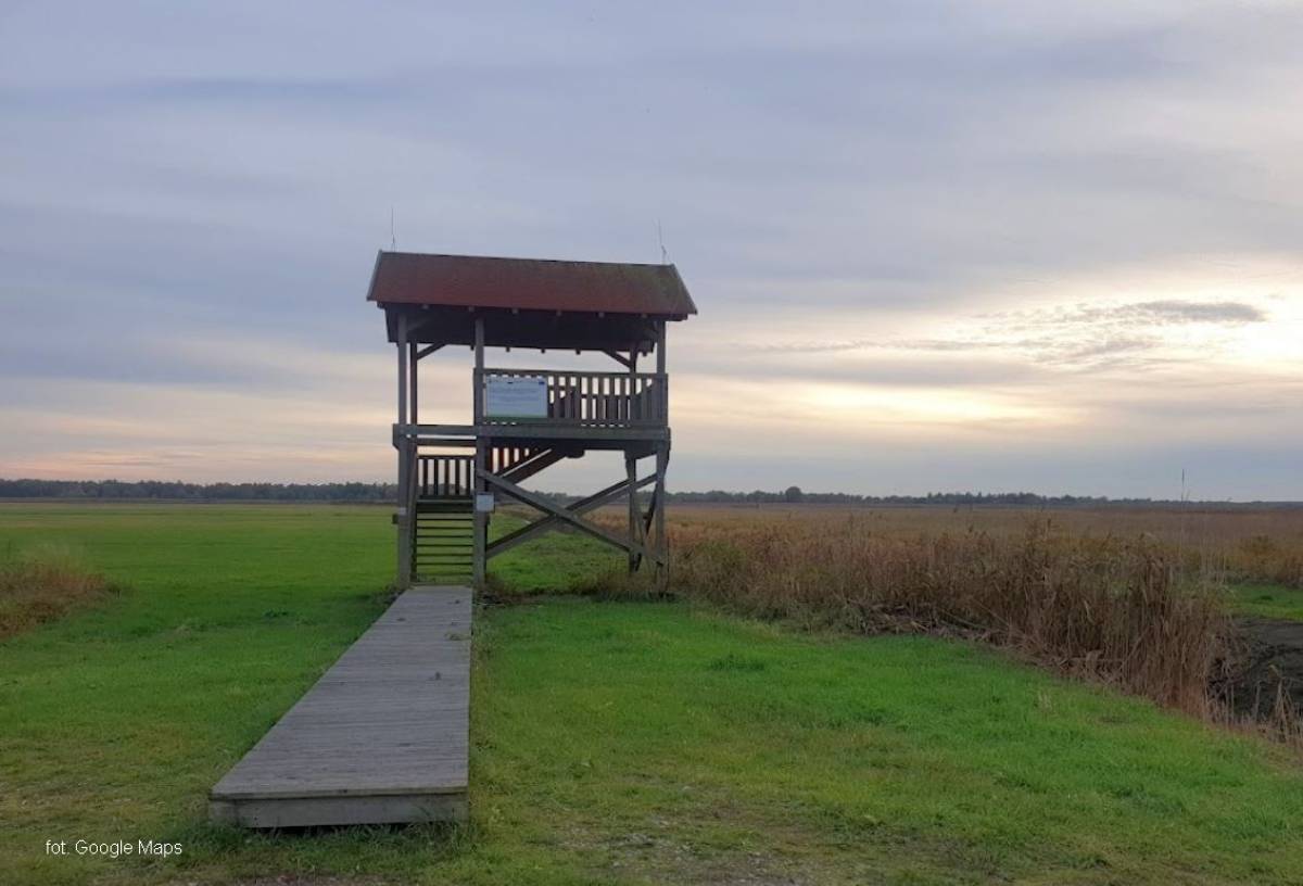 Wieża widokowa przy Bobrowej Drodze - wieza widokowa przy bobrowej drodze5