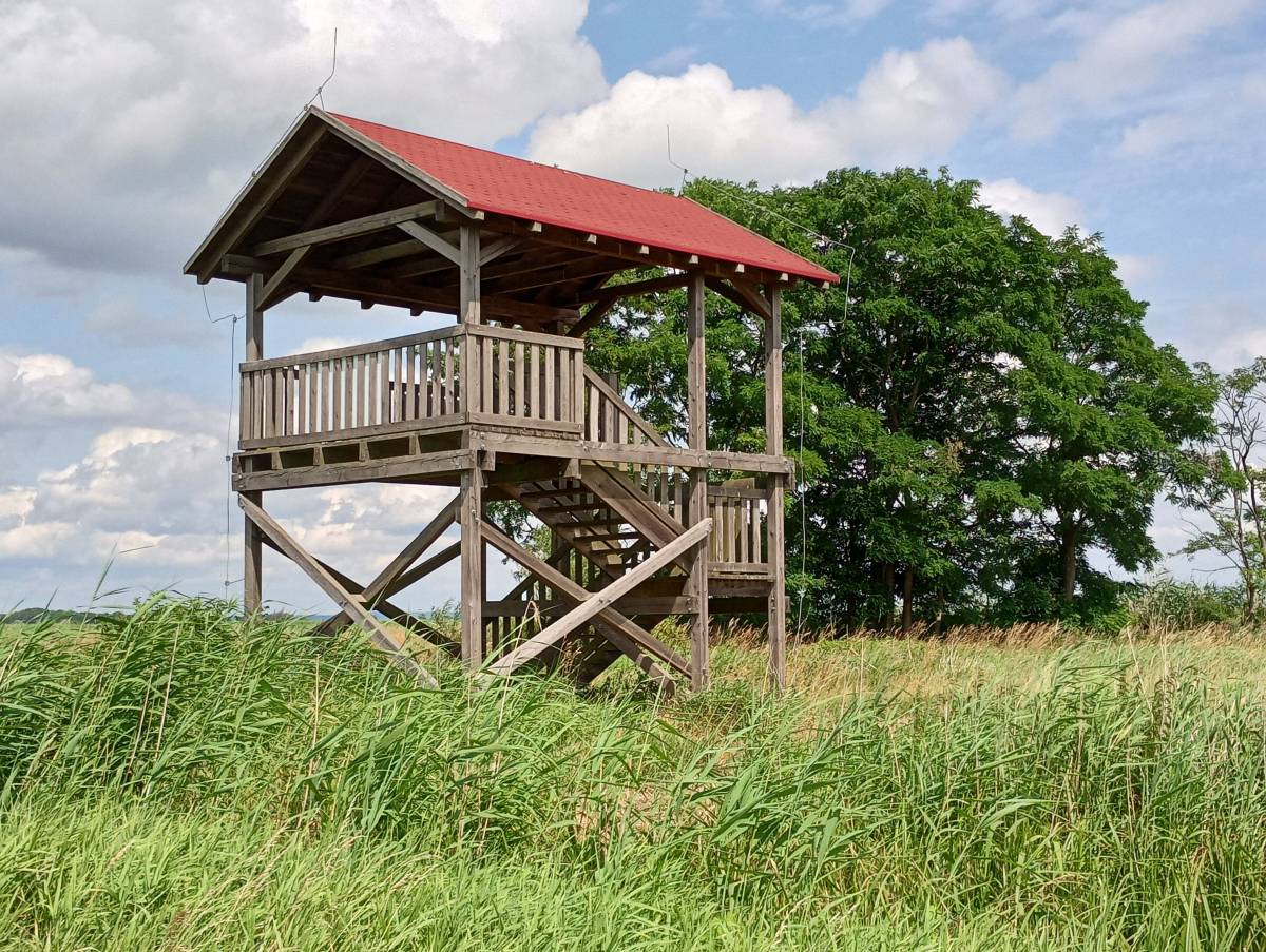 Wieża widokowa przy Bobrowej Drodze - wieza widokowa przy bobrowej drodze 3