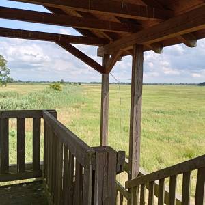 Wieża widokowa przy Bobrowej Drodze - wieza widokowa przy bobrowej drodze 1