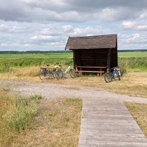 Wieża widokowa przy Bobrowej Drodze - wieza widokowa przy bobrowej drodze 15