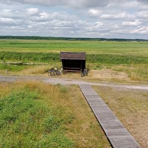 Wieża widokowa przy Bobrowej Drodze - wieza widokowa przy bobrowej drodze 18