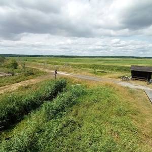 Wieża widokowa przy Bobrowej Drodze - wieza widokowa przy bobrowej drodze 19