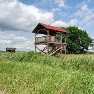Wieża widokowa przy Bobrowej Drodze - wieza widokowa przy bobrowej drodze 2