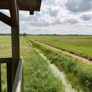 Wieża widokowa przy Bobrowej Drodze - wieza widokowa przy bobrowej drodze 23