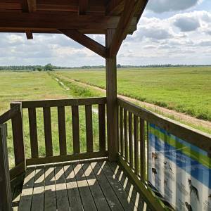 Wieża widokowa przy Bobrowej Drodze - wieza widokowa przy bobrowej drodze 24