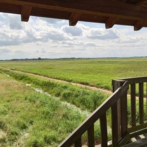 Wieża widokowa przy Bobrowej Drodze - wieza widokowa przy bobrowej drodze 26