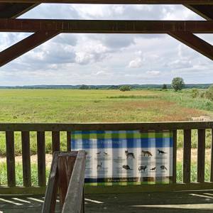 Wieża widokowa przy Bobrowej Drodze - wieza widokowa przy bobrowej drodze 27