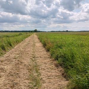 Wieża widokowa przy Bobrowej Drodze - wieza widokowa przy bobrowej drodze 4