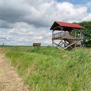 Wieża widokowa przy Bobrowej Drodze - wieza widokowa przy bobrowej drodze 5