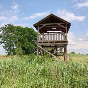 Wieża widokowa przy Bobrowej Drodze - wieza widokowa przy bobrowej drodze 6