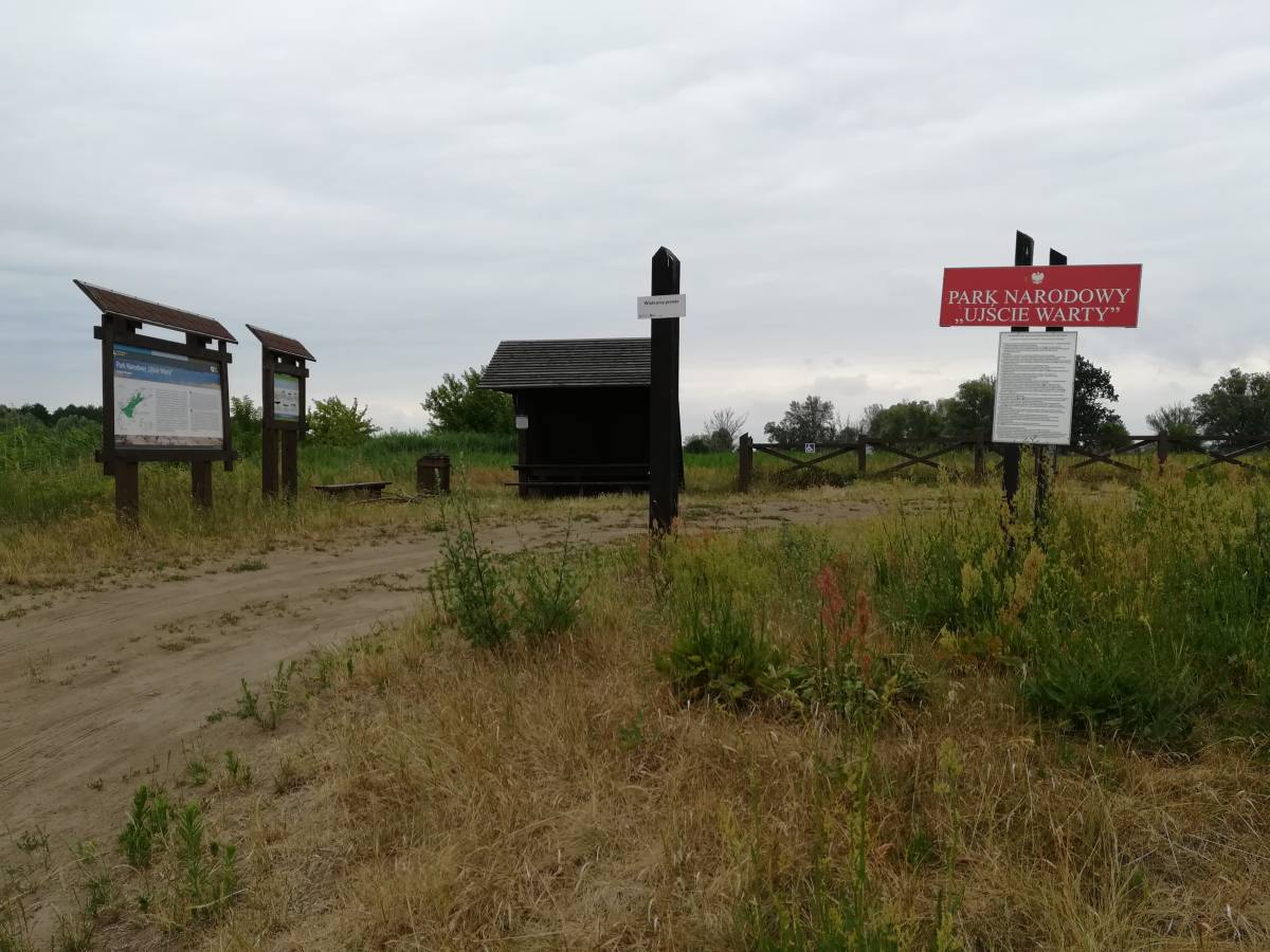 Parking i wiata przy Promie - img 20250703 121238