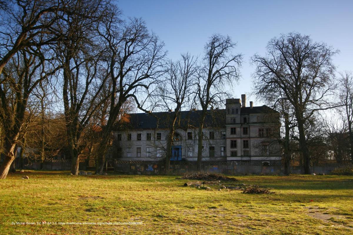 Pałac w Sosnach - sosny palac panoramio