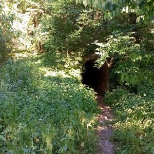 Schron przeciwlotniczy w Wysokiej - schron przeciwlotniczy w wysokiej 1