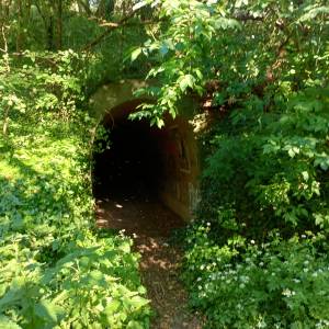 Schron przeciwlotniczy w Wysokiej - schron przeciwlotniczy w wysokiej 2