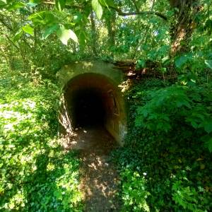 Schron przeciwlotniczy w Wysokiej - schron przeciwlotniczy w wysokiej 4