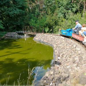 Kolejka Ogrodowa Nietoperek - garden railway in nietoperek 9