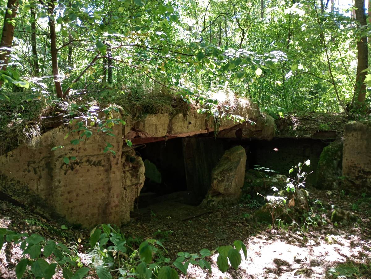 MRU - MG u. PAK 755 - mru mg u pak 755 2