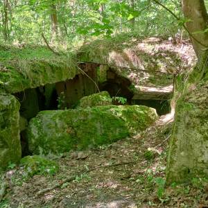 MRU - MG u. PAK 755 - mru mg u pak 755 10