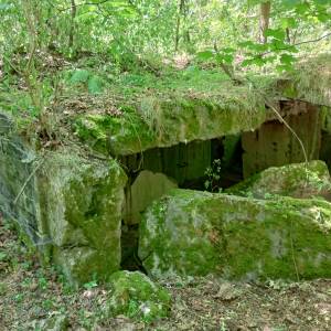 MRU - MG u. PAK 755 - mru mg u pak 755 11