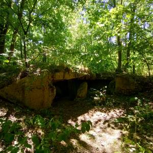 MRU - MG u. PAK 755 - mru mg u pak 755 3