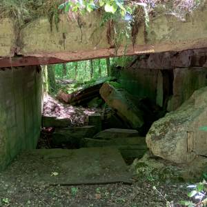 MRU - MG u. PAK 755 - mru mg u pak 755 4