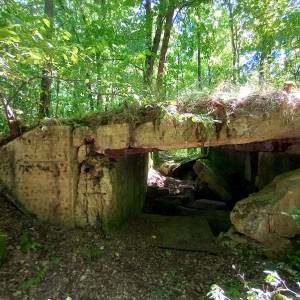 MRU - MG u. PAK 755 - mru mg u pak 755 5