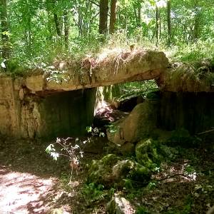 MRU - MG u. PAK 755 - mru mg u pak 755 6