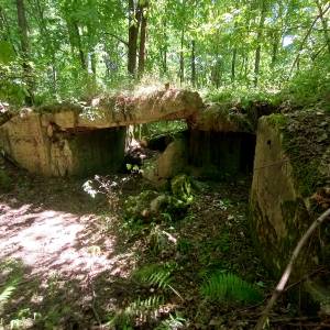 MRU - MG u. PAK 755 - mru mg u pak 755 8