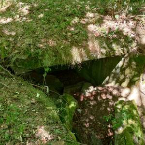 MRU - MG u. PAK 755 - mru mg u pak 755 9