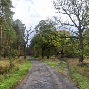 Cedyński Park Krajobrazowy - cedynski park krajobrazowy1