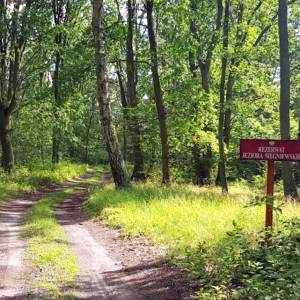 Cedyński Park Krajobrazowy - cedynski park krajobrazowy 4