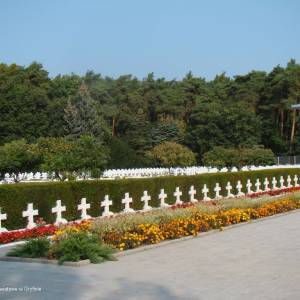 Siekierkowski Cmentarz w Starych Łysogórkach - siekierkowski cmentarz 4