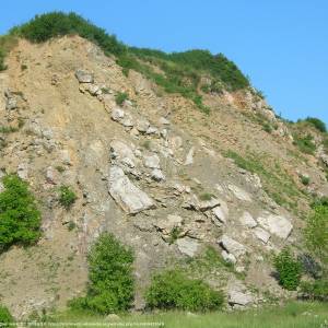 Rezerwat przyrody Wietrznia - wietrznia quarry