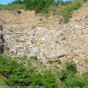 Rezerwat przyrody Wietrznia - wietrznia quarry 2