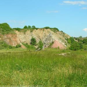 Rezerwat przyrody Wietrznia - wietrznia quarry 3