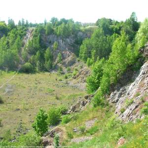 Rezerwat przyrody Wietrznia - wietrznia quarry 4