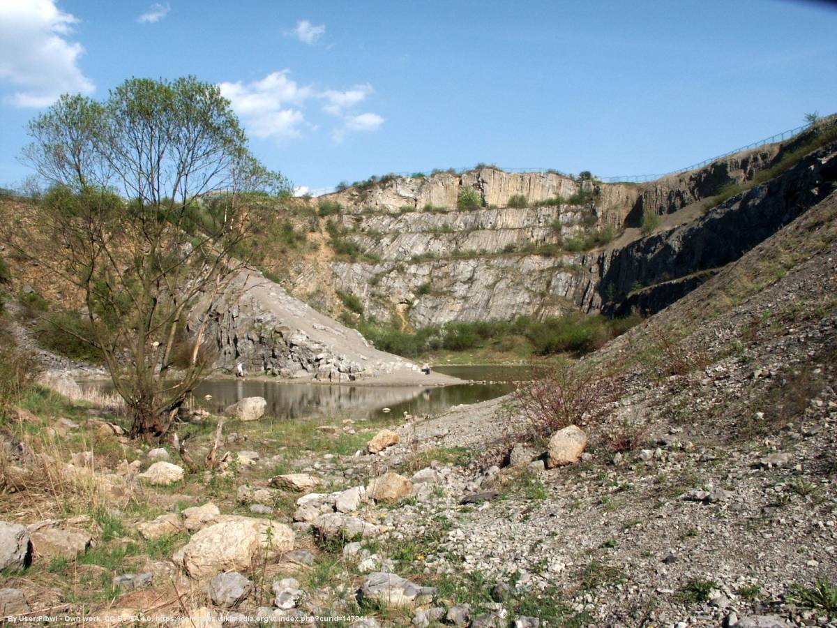 Rezerwat Skalny (Rezerwat Ślichowice) im. Jana Czarnockiego - kielce slichowice