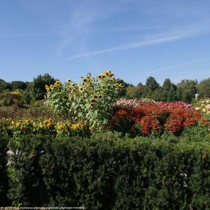 Ogród Botaniczny w Kielcach - botanical garden in kielce 2021 09 10 3598