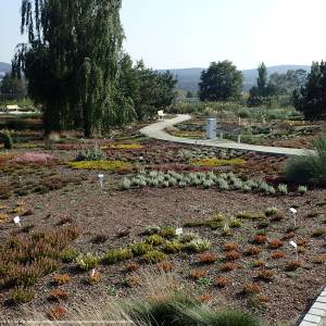 Ogród Botaniczny w Kielcach - botanical garden in kielce kz04