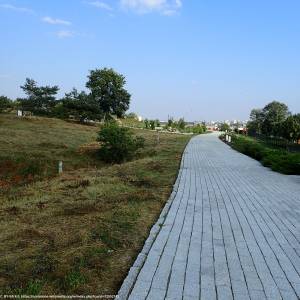 Ogród Botaniczny w Kielcach - botanical garden in kielce kz08