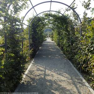 Ogród Botaniczny w Kielcach - botanical garden in kielce kz16