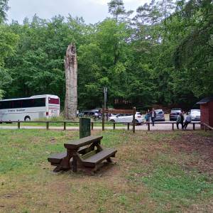 Parking Kwasowo w Międzyzdrojach - parking kwasowo w miedzyzdrojach 12