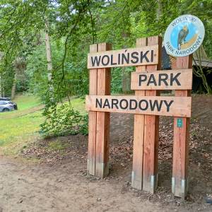 Parking Kwasowo w Międzyzdrojach - parking kwasowo w miedzyzdrojach 21