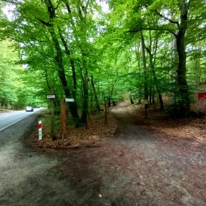 Parking Kwasowo w Międzyzdrojach - parking kwasowo w miedzyzdrojach 27